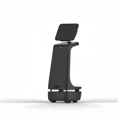 Teenindusrobotite tööstus